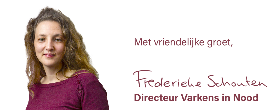 Gelukkig nieuwjaar!