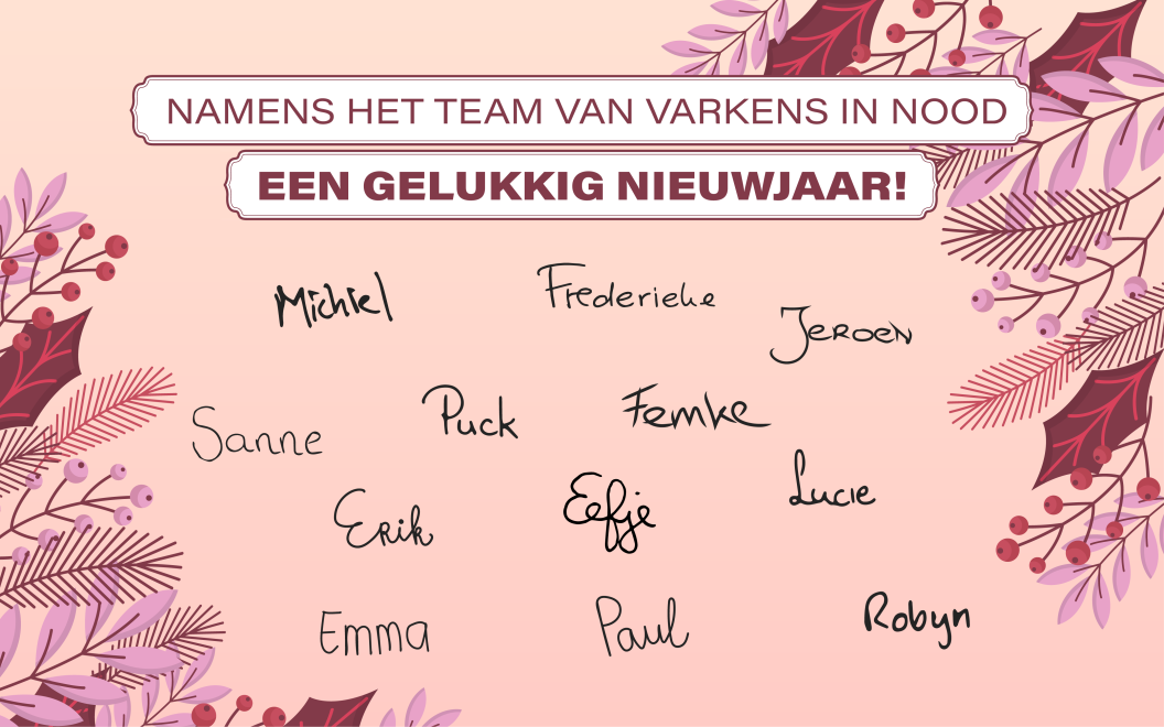 Gelukkig nieuwjaar!